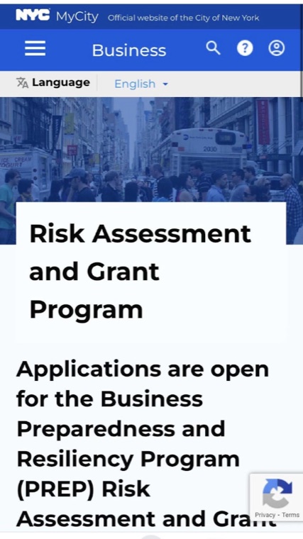 City grant program screenshot